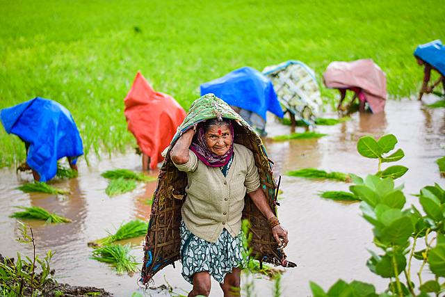 Producción Asiática