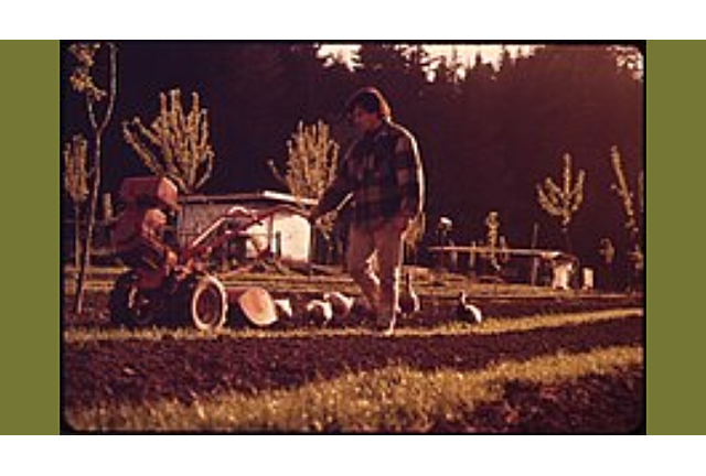 Influencia Musulmana.