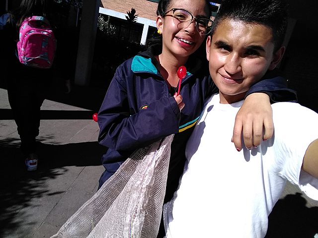 Clases de articulación.