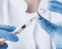 INGENIERIA GENÉTICA 1980