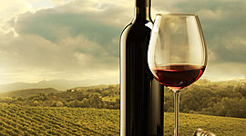 Timeline: Historia del Vino