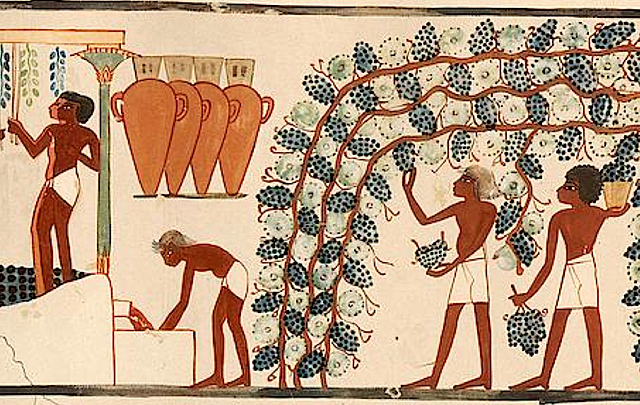 Primeros índices de la producción de vino