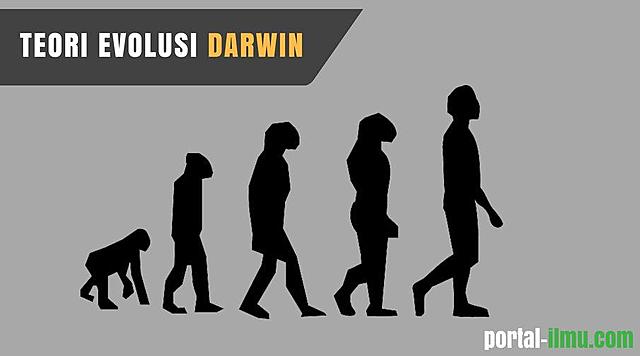 Teori Evolusi, Darwin