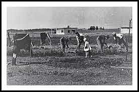 La capacitación ambulante. El caso de los productores agrícolas italianos de la provincia de Santa fe.