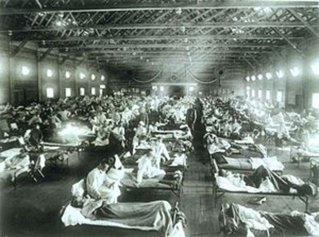 Influenza Pandemic