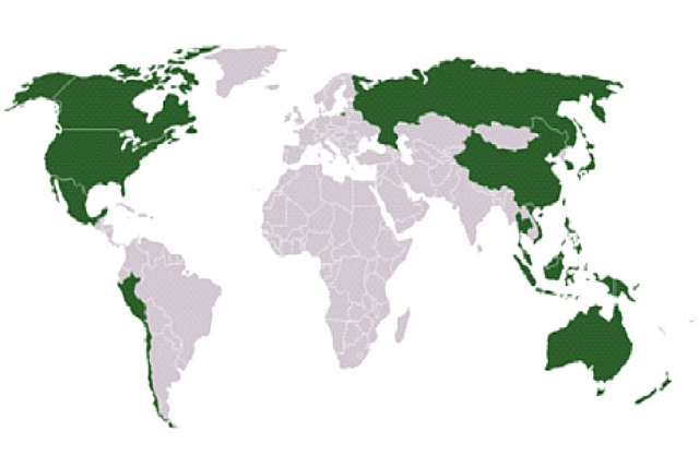 Foros multilaterales