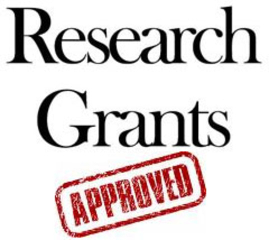 Research on Stimulants as Treatment