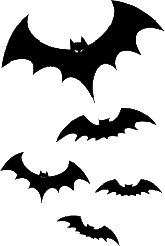 Chapter 10 - Bats