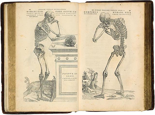 Publicación de ``Sobre la estructura del cuerpo humano´´ de Andrés Vesalio.