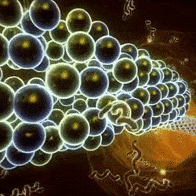 Timeline: Desarrollo Histórico de la Teoría Celular. Valentina Aray 3er año B