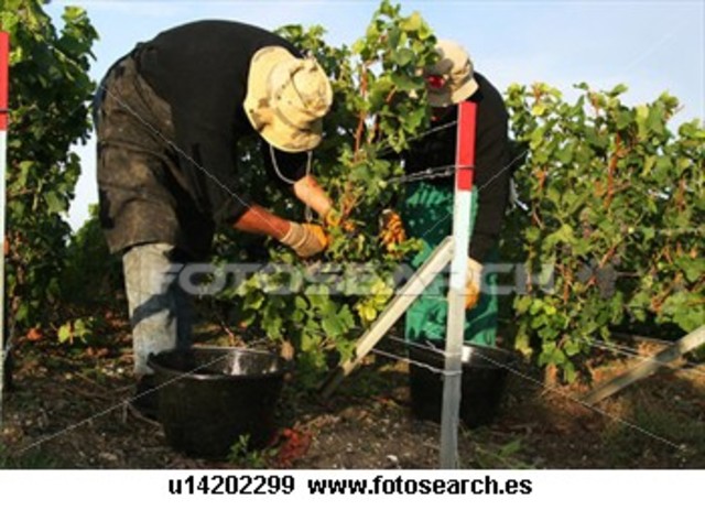 FACTORES DE PRODUCCION