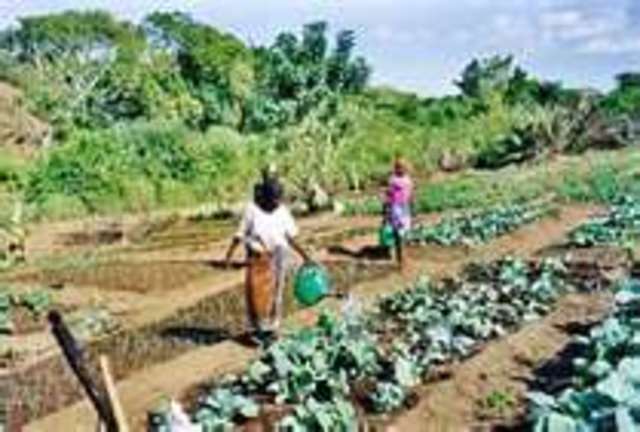 FACTOR No. 2 TRABAJO