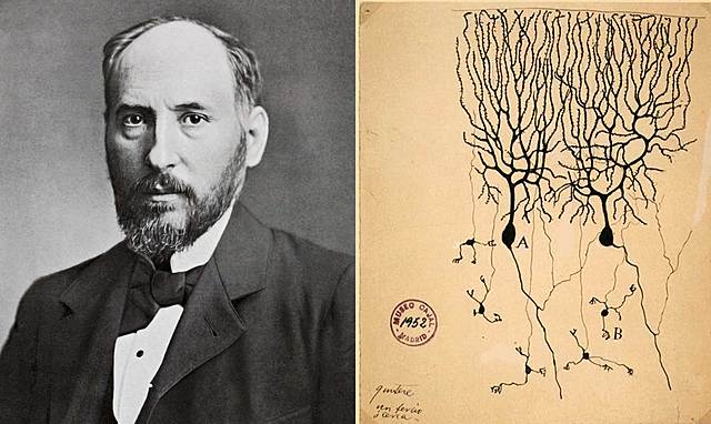 Santiago Ramón y Cajal