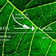 Fotosintesispf 1024x546