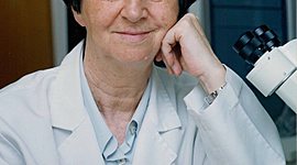 Timeline: Margarita Salas