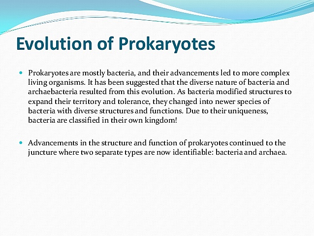 Evolution of Prokaryotic Cells