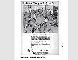 The Search for Organizing Relations