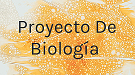 Timeline: PROYECTO FINAL BIOLOGIA