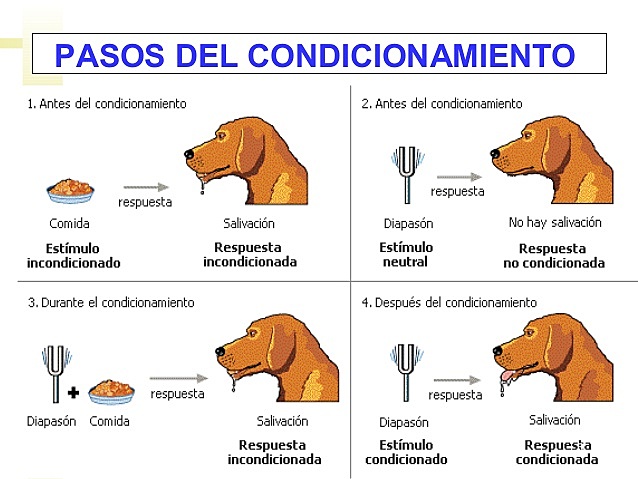Condicionamiento Clasico