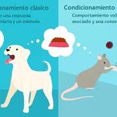 Timeline: Origen y Evolución del Condicionamiento Clásico y Condicionamiento Operante