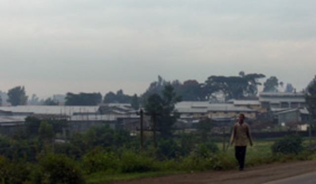 Massacre at Kaliti prison