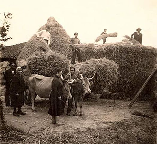 La capacitación ambulante