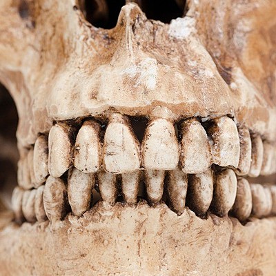 Timeline: Historia de la Odontología