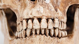 Timeline: Historia de la Odontología