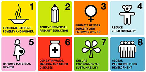 The World Food Summit+5