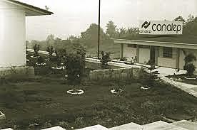 Creación del Colegio Nacional de Educación Profesional Técnica (CONALEP)