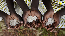 Timeline: World Hunger Progress in the Last 50 Years