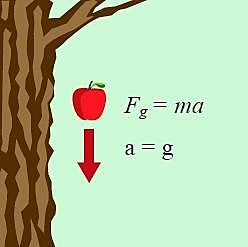 La física materializada