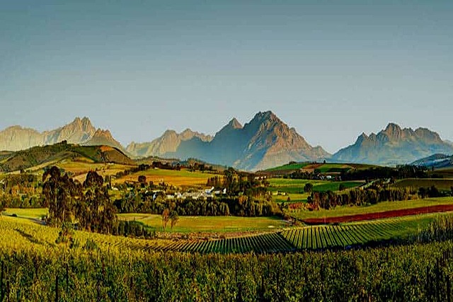 Se celebra el Décimo primero en Stellenbosch, Sudáfrica