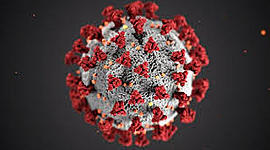 Timeline: התפשטות הקורונה