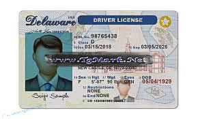 Drivers License