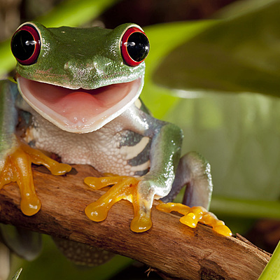 Timeline: TIC-Tecnologías de la Información y la Comunicación