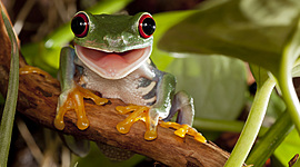 Timeline: TIC-Tecnologías de la Información y la Comunicación