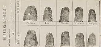 Discovers and Observations on Fingerprints began to be made. Even with these discoveries the use of fingerprints didn't catch on yet.