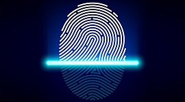 Timeline: Fingerprint Timeline