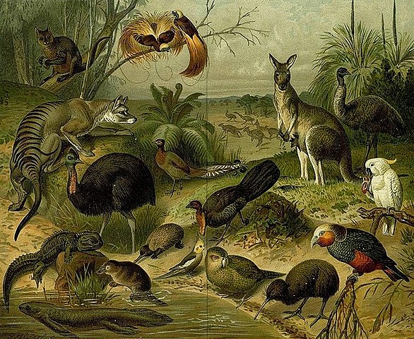 Licenciatura zoología (Watson)