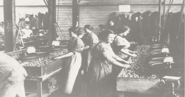 Consequences for Workers (-1)