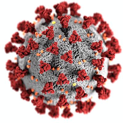 Timeline: Coronavirus