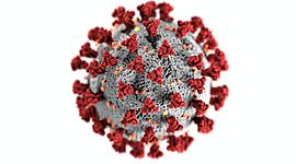 Timeline: Coronavirus