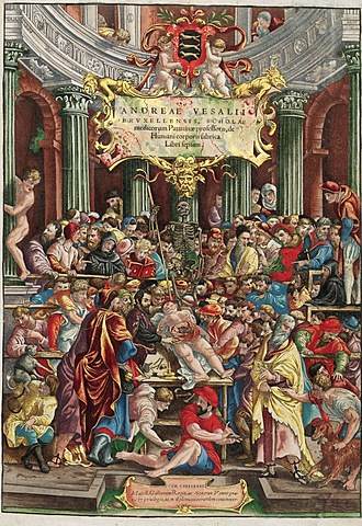 "Sobre la estructura del cuerpo humano"