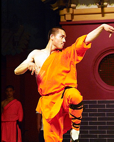 Master Shifu see’s potential in Po