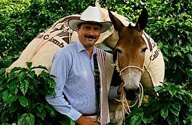 juan valdez