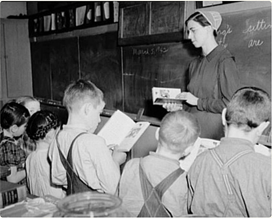 Public Education: Books