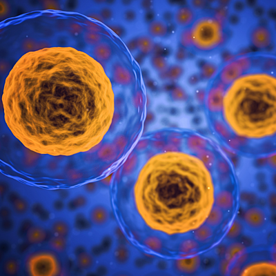 Timeline: Linea de tiempo: Teoría Celular