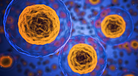 Timeline: Linea de tiempo: Teoría Celular