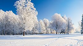 Timeline: Inverno